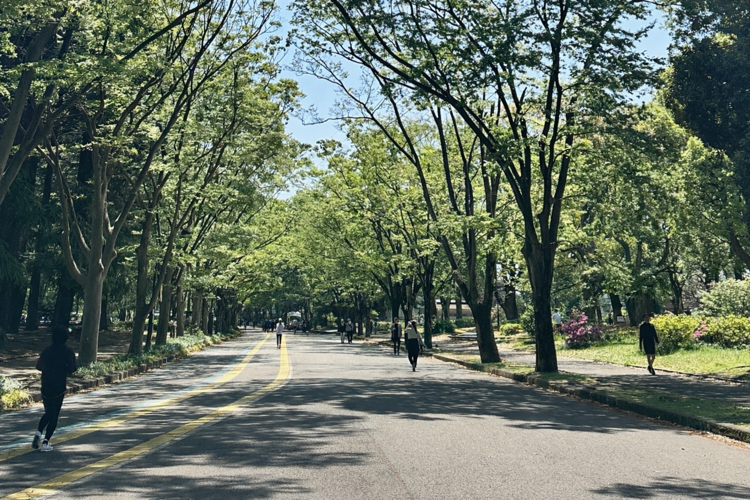 駒沢公園 ジョギングコース 世田谷区